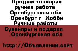 Продам топиарий (ручная работа) - Оренбургская обл., Оренбург г. Хобби. Ручные работы » Сувениры и подарки   . Оренбургская обл.